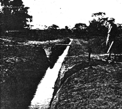 Figure 7. A drain in central Africa cut to dry a swamp which Bred Anopheles