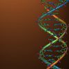 CRISPR/Cas9 and gene editing