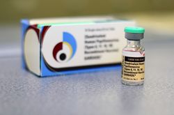 Nach vielen Jahrzehnten der Forschung des Papillomavirus, stand 2006 der erste Impfstoff zur Verfügung
