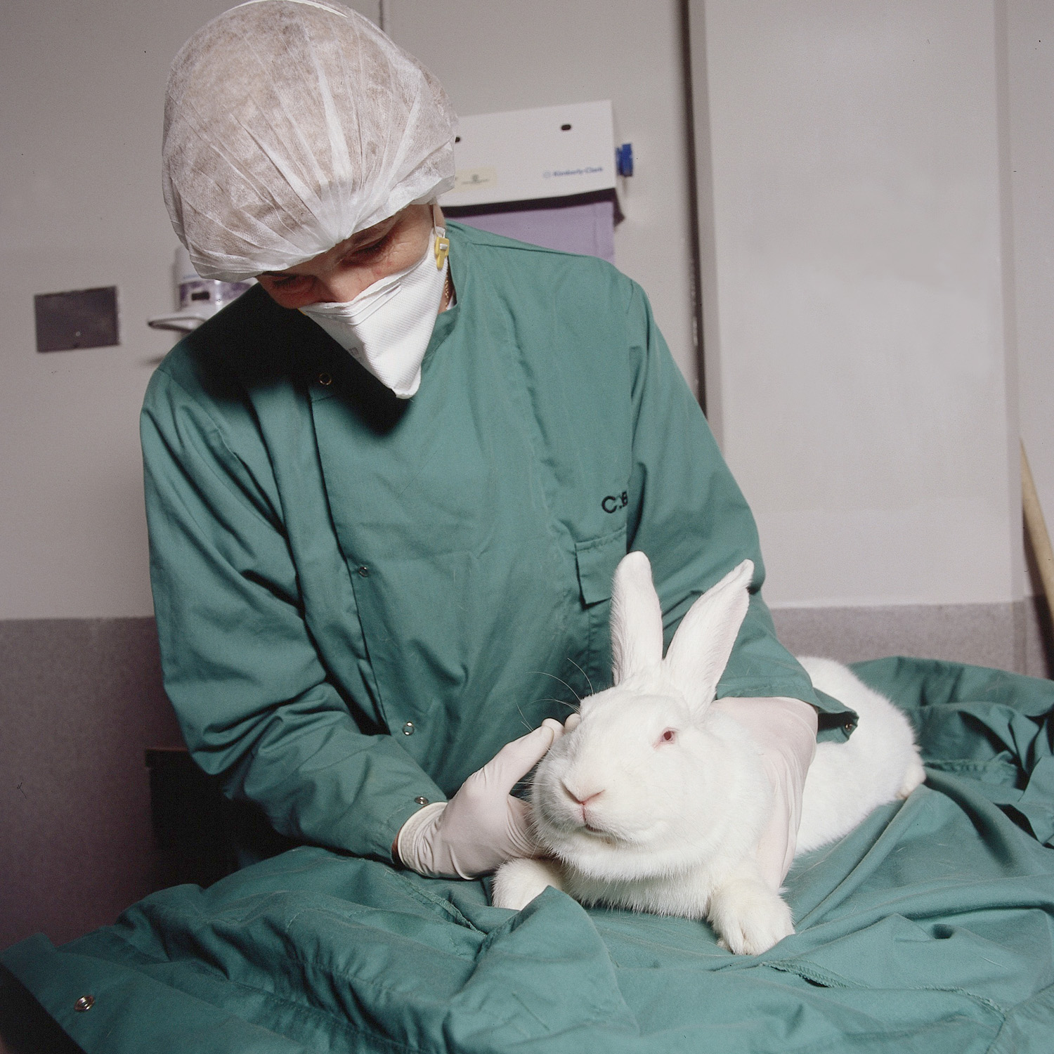 Some Reflections on Animal Experiments  