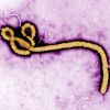 Ebola