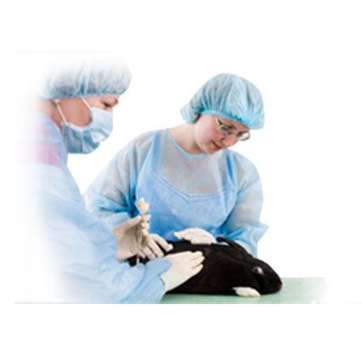 Veterinary-Medicine.jpg