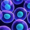 Stem cell therapy